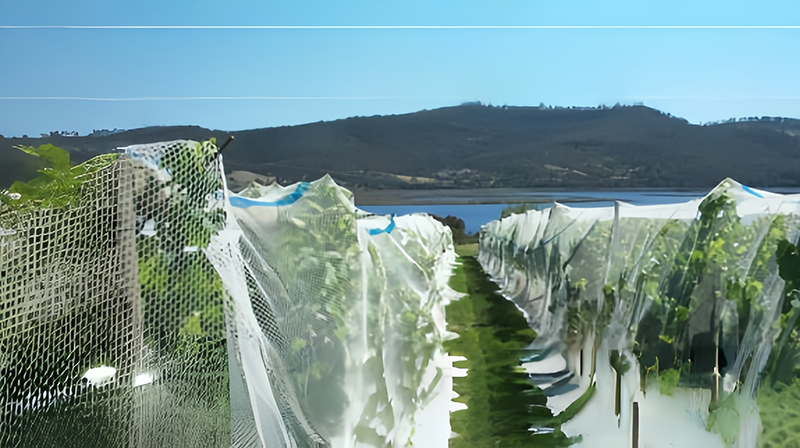Hexagon hole Bird netting 45g application Hexagon hole Bird netting 45g application
