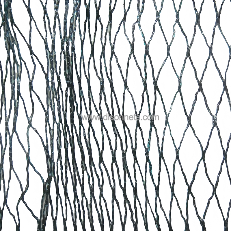 1744153922319989.jpg Green black bird net2zz.jpg
